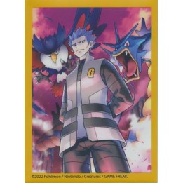 Koszulki Pokemon - Cyrus 65 szt.