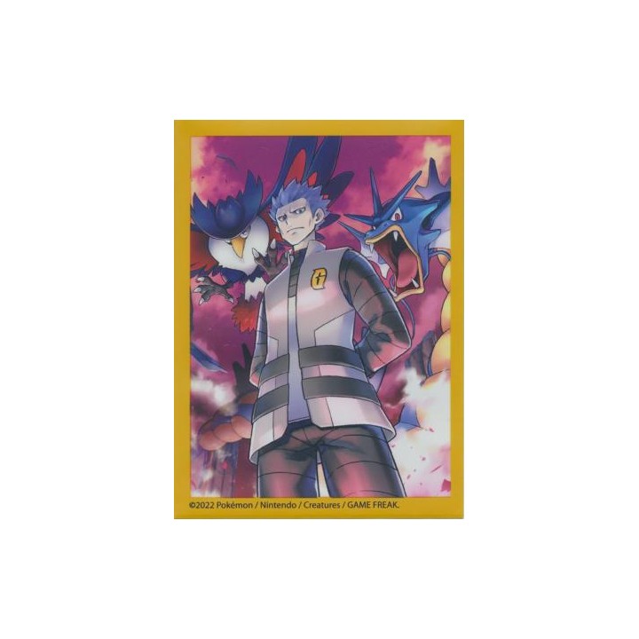 Koszulki Pokemon - Cyrus 65 szt.