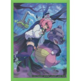 Koszulki Pokemon - Klara 65 szt.