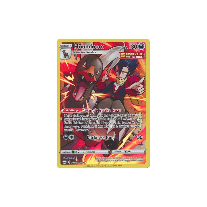 Houndoom - TG10/TG30 - Holo Rare