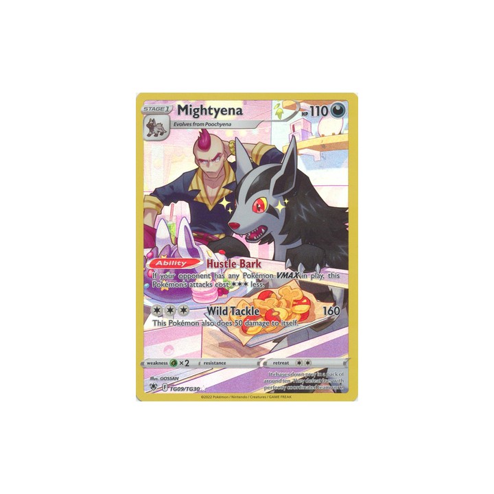 Mightyena - TG09/TG30 - Holo Rare